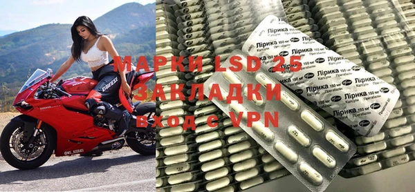 стаф Баксан