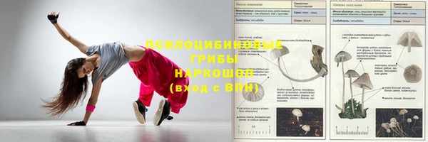 стаф Баксан