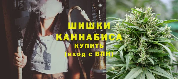 стаф Баксан